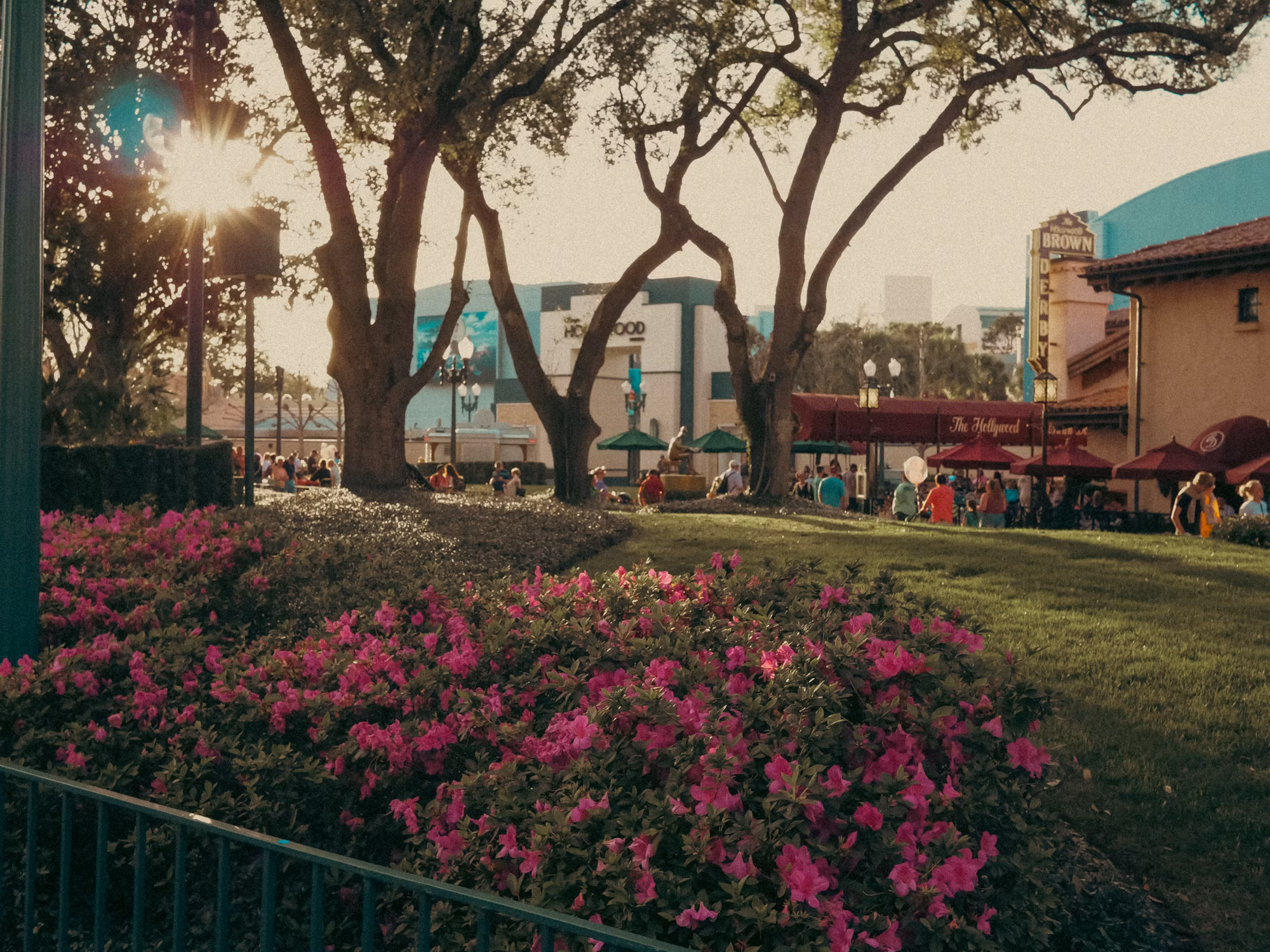 Exploring the Luxurious World of Villa Design